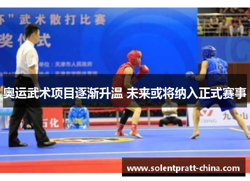 奥运武术项目逐渐升温 未来或将纳入正式赛事